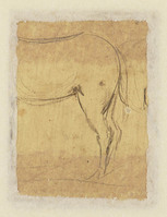 N 050 verso
<br/>
Paard (fragment)
<br/>
<em>Goltzius, Hendrick (1558-1617)</em>